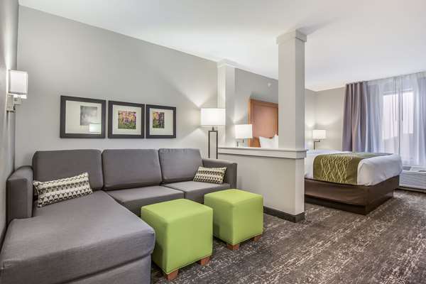 Suite - Comfort Inn Jasper