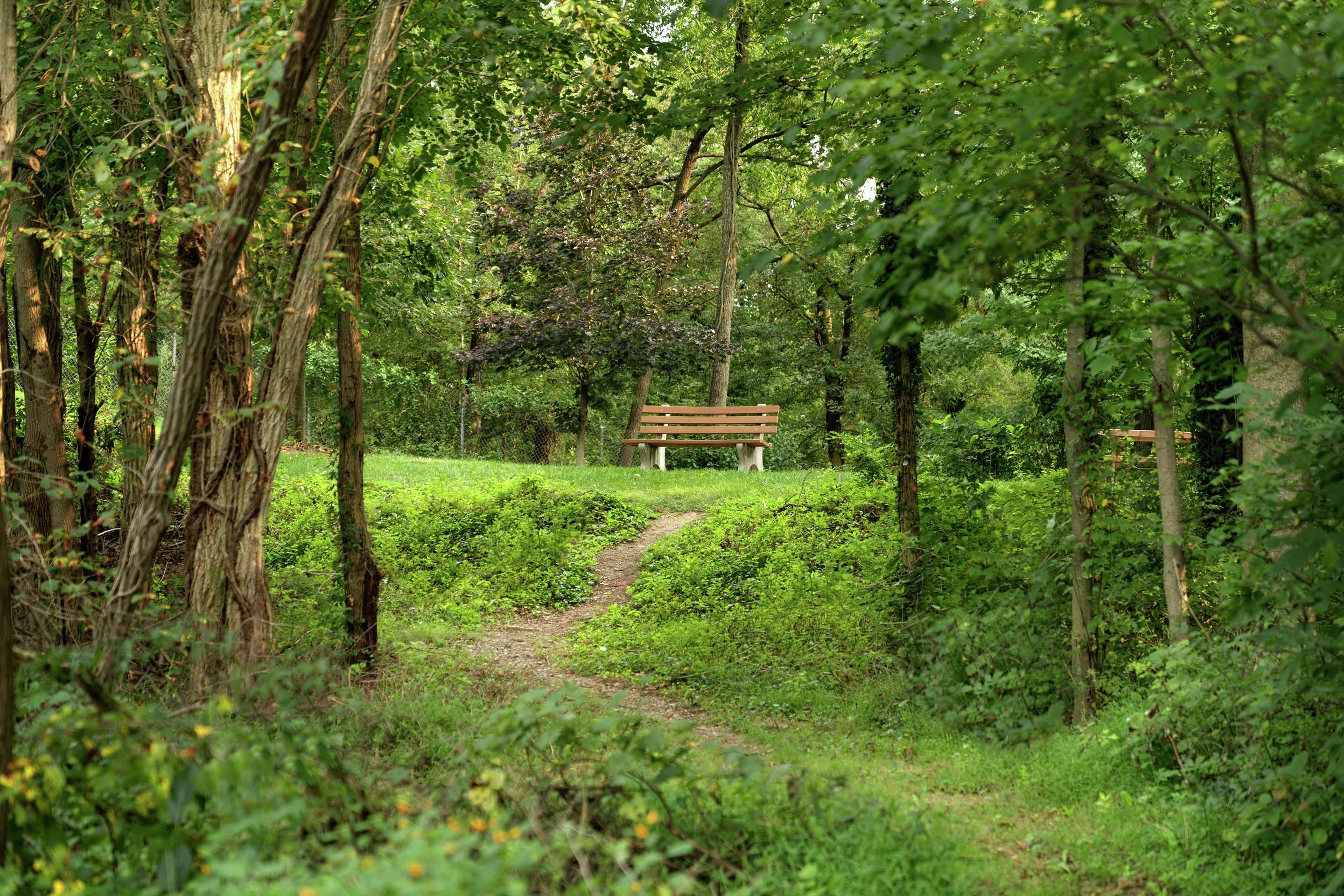Recreational Facility