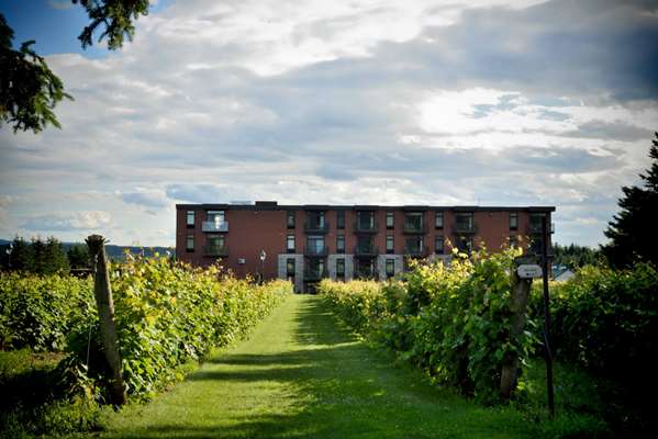 Exterior view - La Cache a Maxime Hotel Scott
