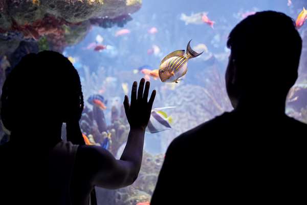  - Hyatt Place Hotel Seaport District Boston