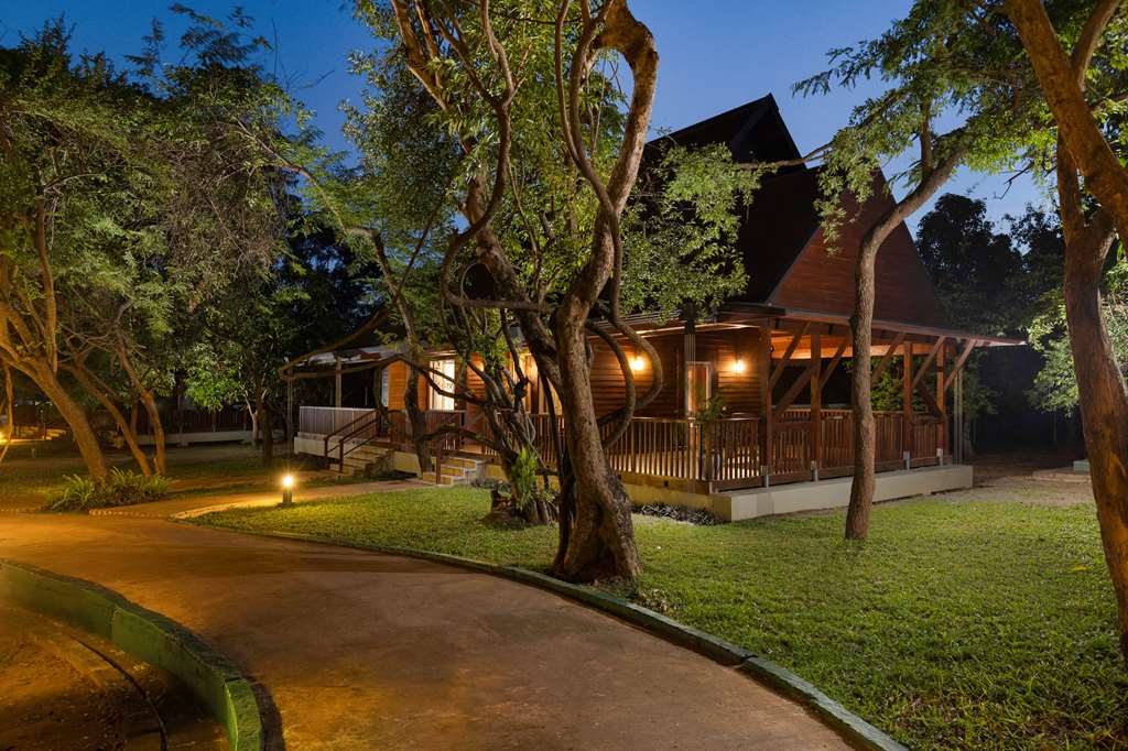 OCCIDENTAL PARADISE DAMBULLA-guestroom-Guest Room,Suite,On-Site.jpg