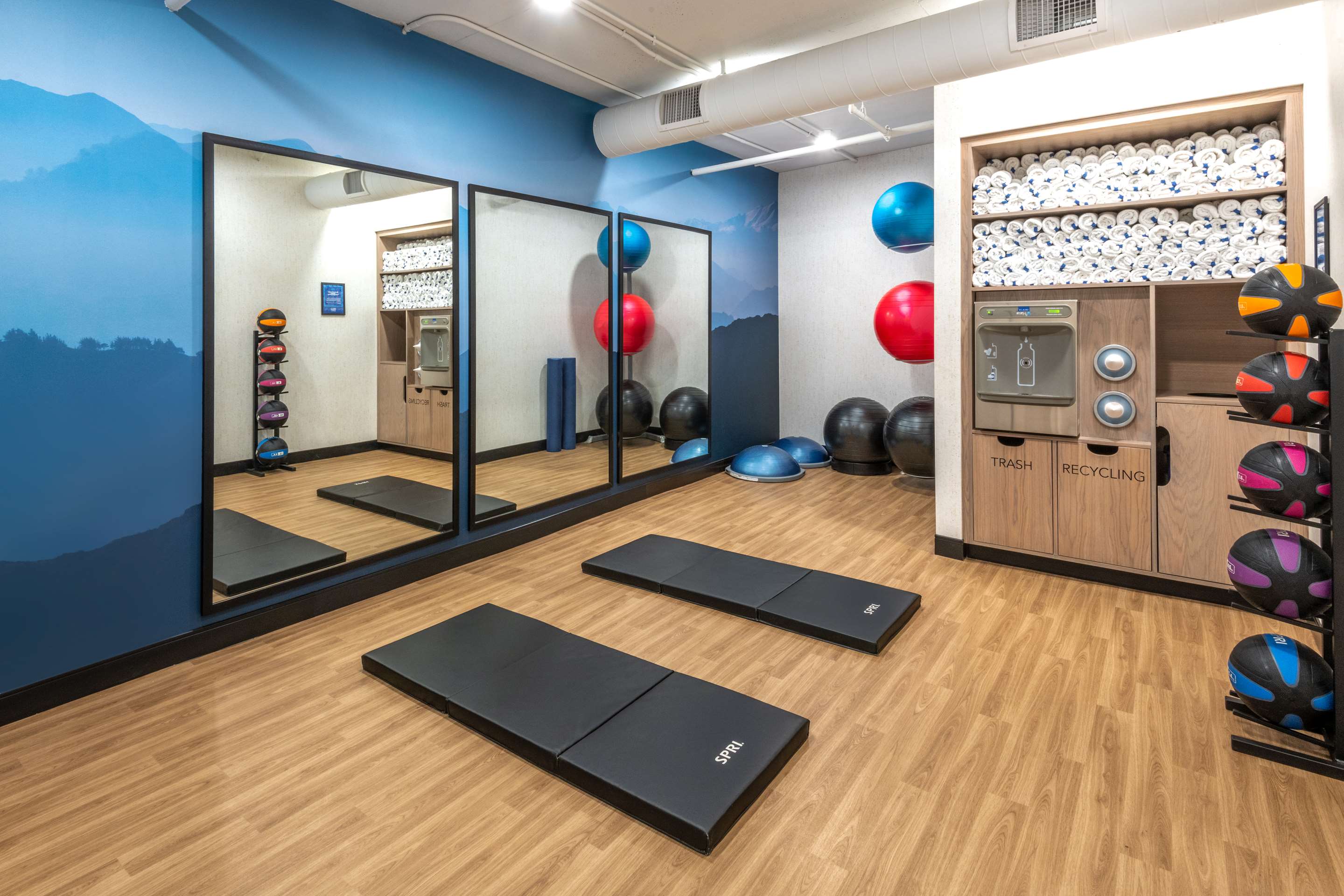 Health club fitness center gym