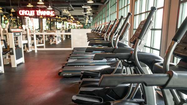 Bar - Star Island Resort & Club Kissimmee