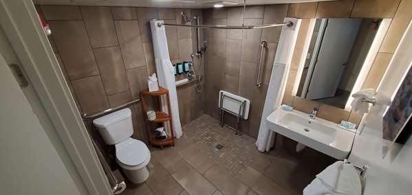 Accessible - 1 Queen, Mobility Accessible, Communication Assistance, Roll In Shower, Mini Fridge, In-Room Safe, Non-Smoking, Continental Breakfast