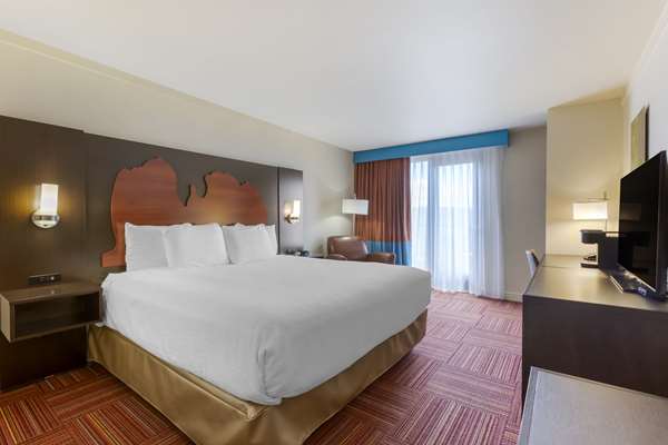 1 King Bed, Non-Smoking, Patio, Mini Fridge, In-Room Safe, Continental Breakfast