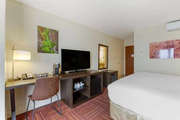 1 King Bed, Non-Smoking, Patio, Mini Fridge, In-Room Safe, Continental Breakfast