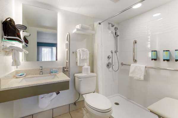 Accessible - 1 King, Mobility Accessible, Communication Assistance, Walk In Shower, Mini Fridge, In-Room Safe, Non-Smoking, Continental Breakfast