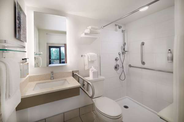 Accessible - 1 King, Mobility Accessible, Communication Assistance, Walk In Shower, Mini Fridge, In-Room Safe, Non-Smoking, Continental Breakfast