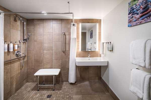Accessible - 1 Queen, Mobility Accessible, Communication Assistance, Roll In Shower, Mini Fridge, In-Room Safe, Non-Smoking, Continental Breakfast