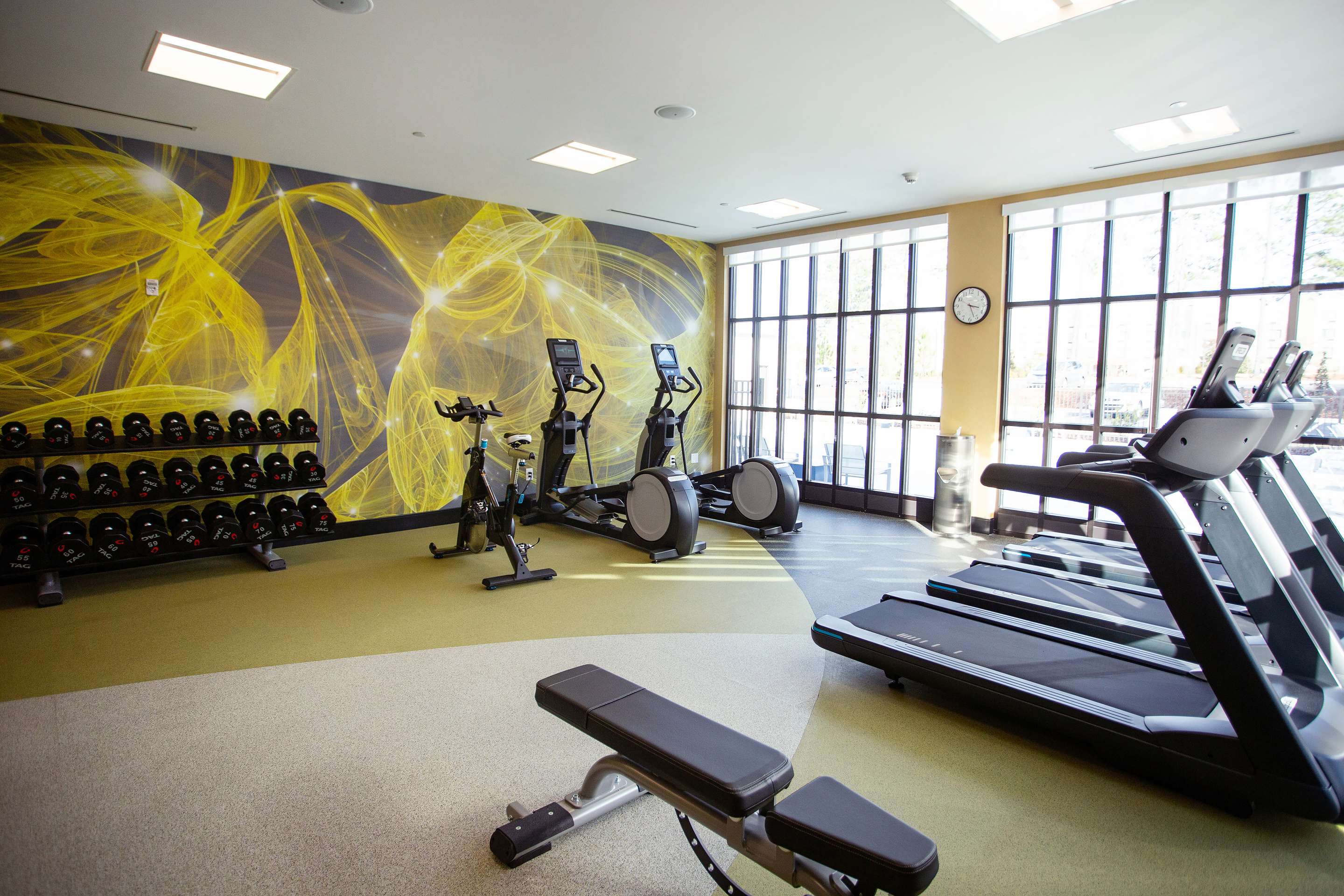 Health club fitness center gym