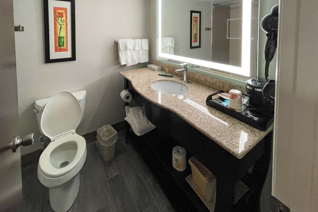 CLARION POINTE ROCK HILL NEAR UNIVE-guestroom-Guest Room,Bathroom,On-Site.jpg