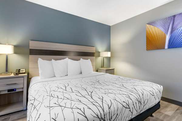  - Best Western Blythe Hotel - I-10, Exit 239