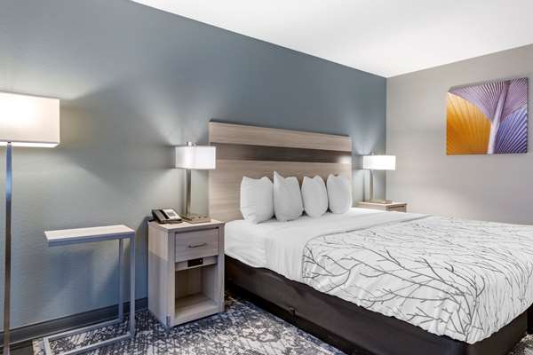  - Best Western Blythe Hotel - I-10, Exit 239