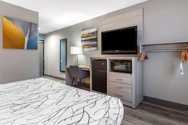  - Best Western Blythe Hotel - I-10, Exit 239