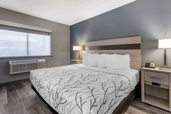  - Best Western Blythe Hotel - I-10, Exit 239