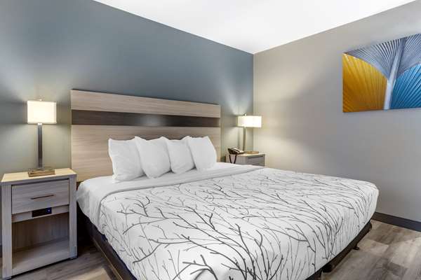  - Best Western Blythe Hotel - I-10, Exit 239