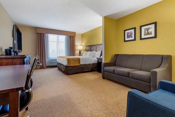 Suite - Comfort Inn & Suites Dover