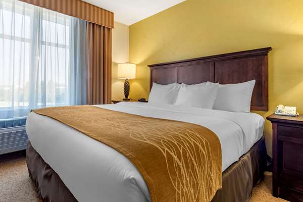 Suite - Comfort Inn & Suites Dover