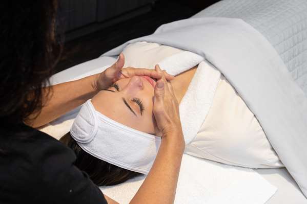 Spa - Mosey Buffalo Williamsville Hotel - I-290, Exit 7