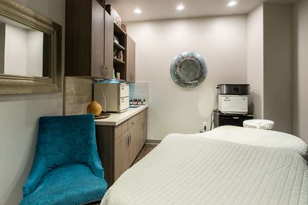 Spa - Mosey Buffalo Williamsville Hotel - I-290, Exit 7