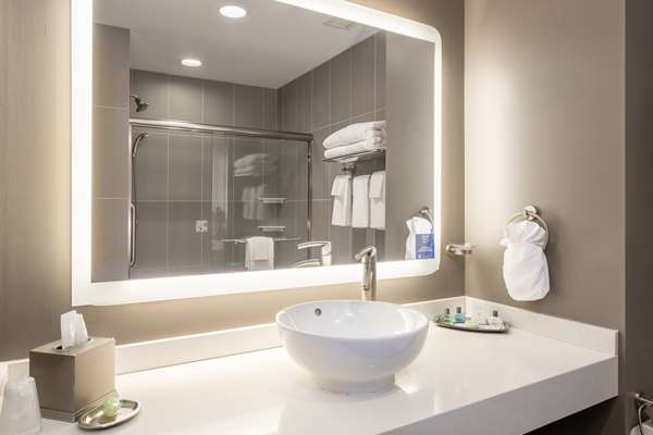  - Mosey Buffalo Williamsville Hotel - I-290, Exit 7