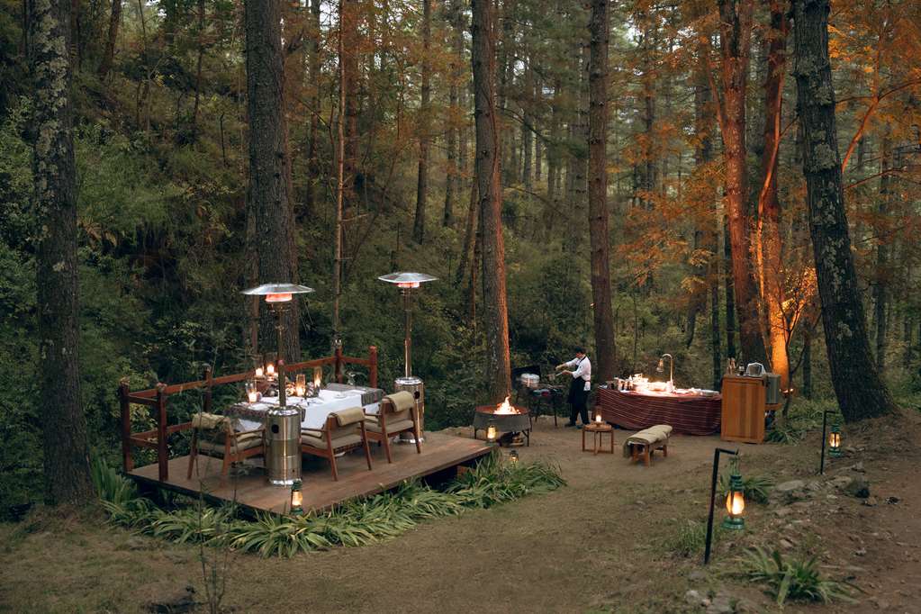 Guest photo