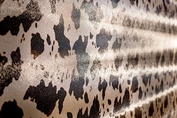  - Brownwood Hotel & Spa The Villages