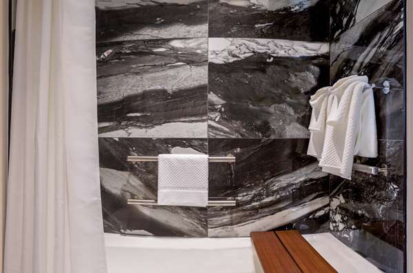  - Canopy by Hilton Hotel Downtown Memphis