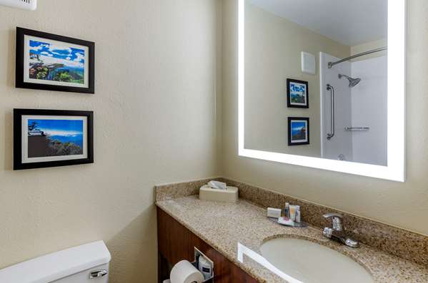  - Comfort Inn Civic Center Roanoke - I-581, Exit 4