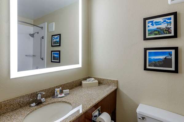  - Comfort Inn Civic Center Roanoke - I-581, Exit 4