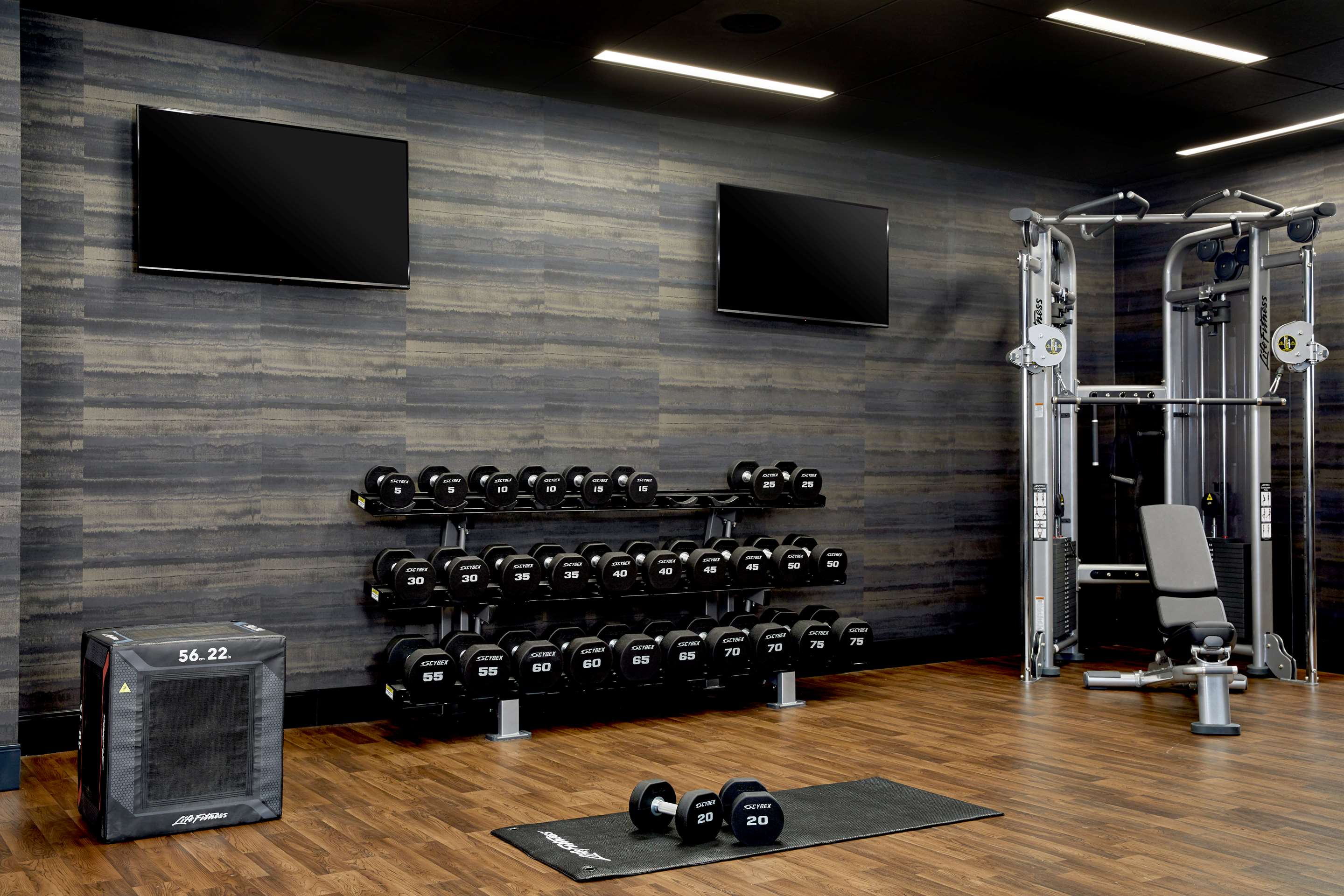 Health club fitness center gym