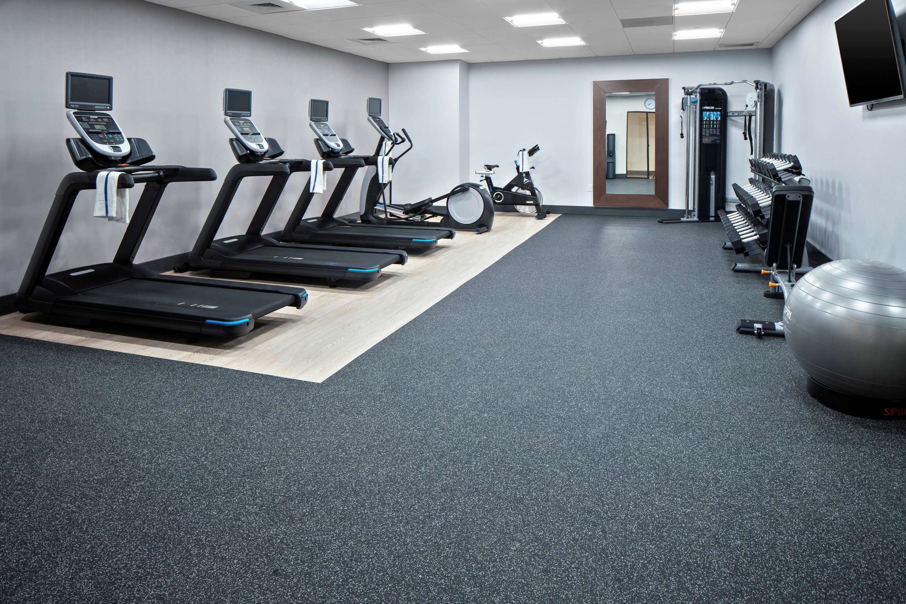 Health club fitness center gym