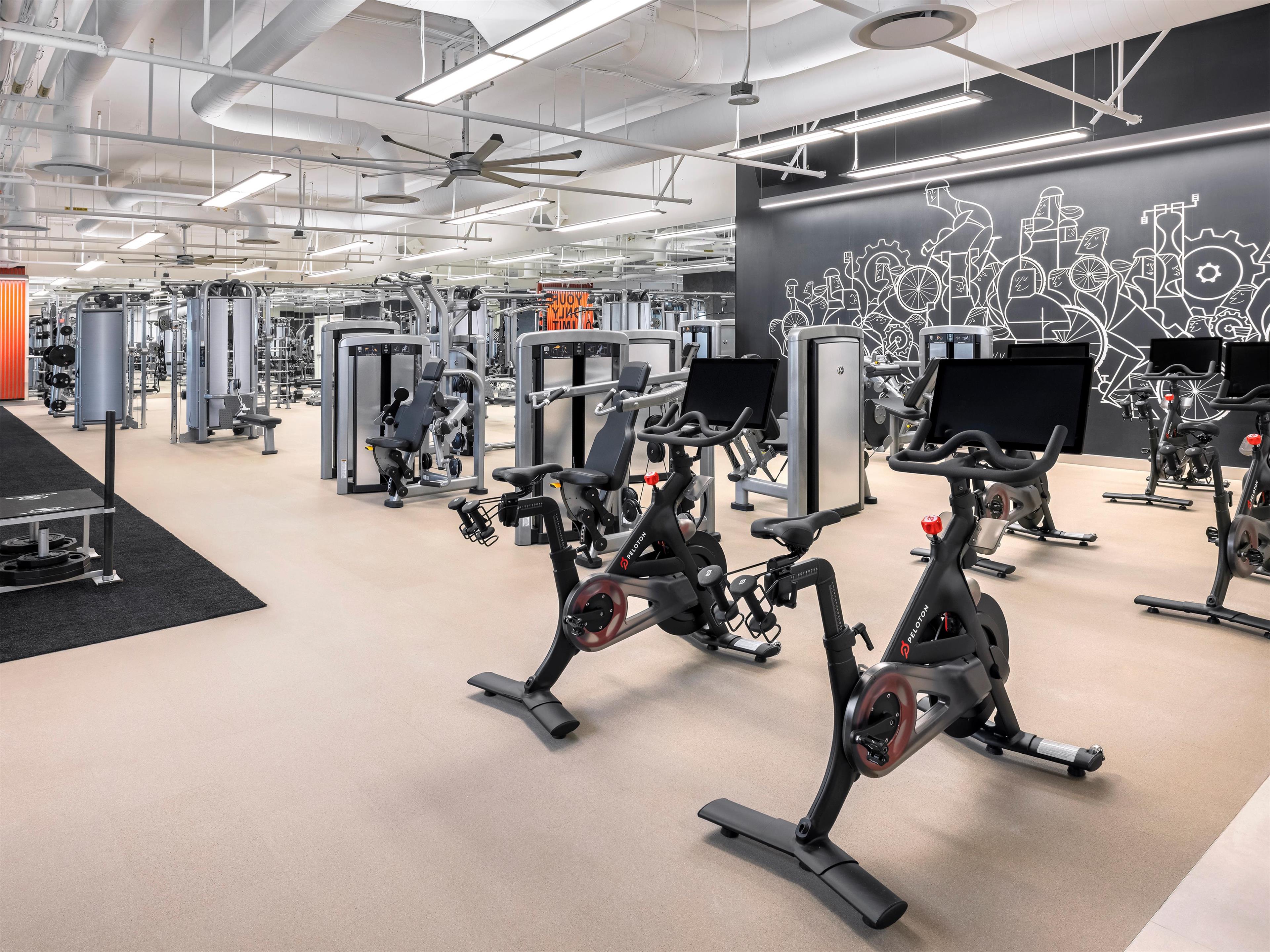 Health club fitness center gym