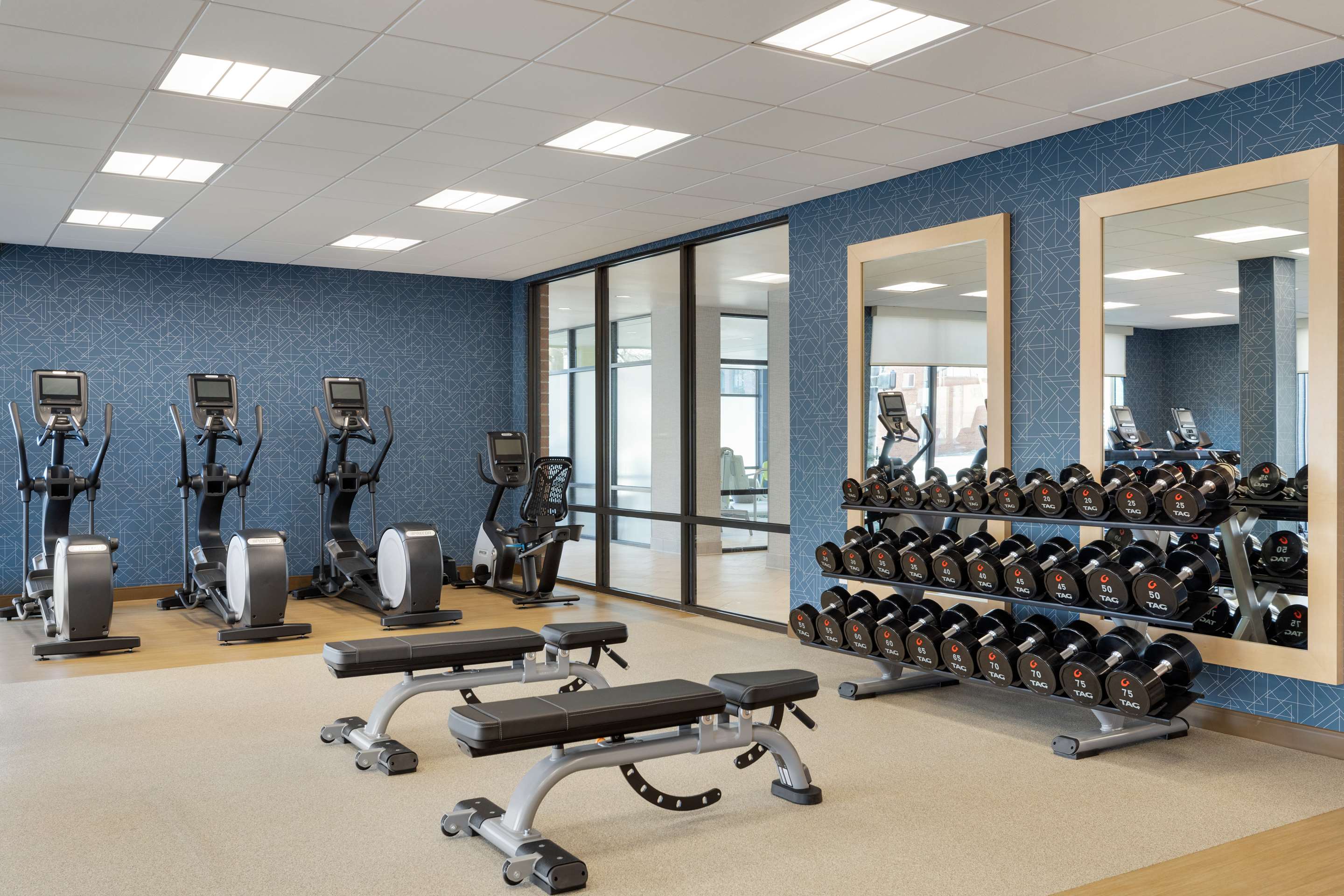 Health club fitness center gym