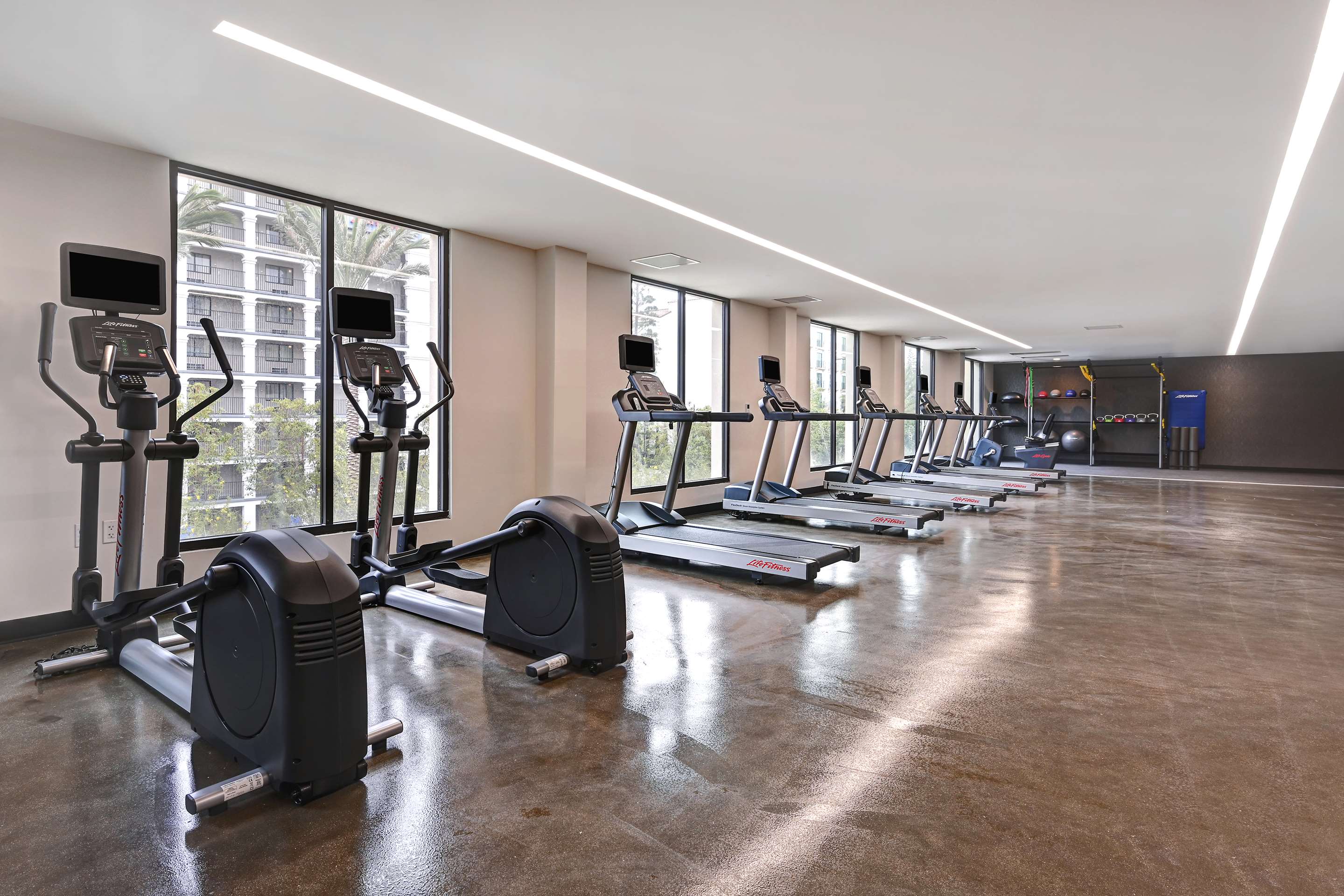 Health club fitness center gym