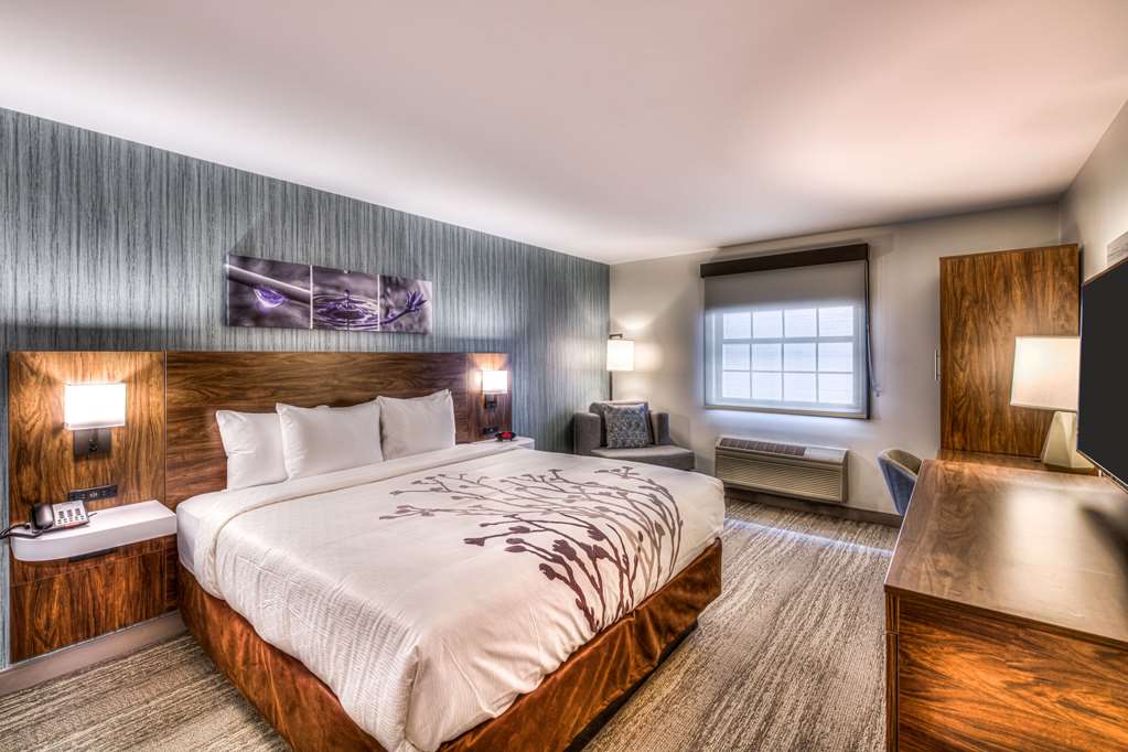 SLEEP INN OAKBROOK TERRACE - CHICAG-guestroom-Guest Room,On-Site.jpg