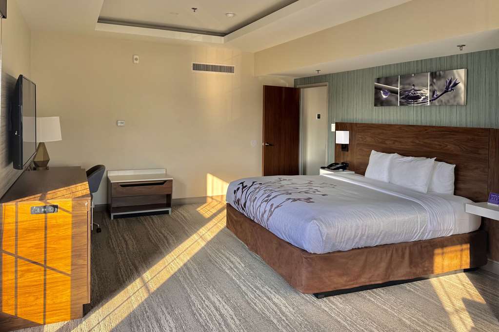 SLEEP INN OAKBROOK TERRACE - CHICAG-guestroom-Guest Room,Suite,On-Site.jpg