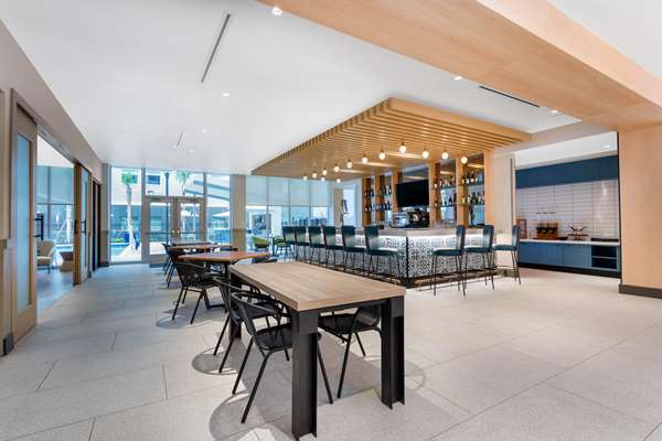 Bar - TRYP Hotel by Wyndham Seaworld Orlando