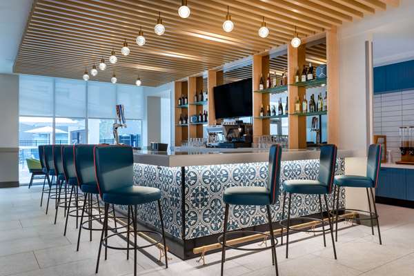 Bar - TRYP Hotel by Wyndham Seaworld Orlando