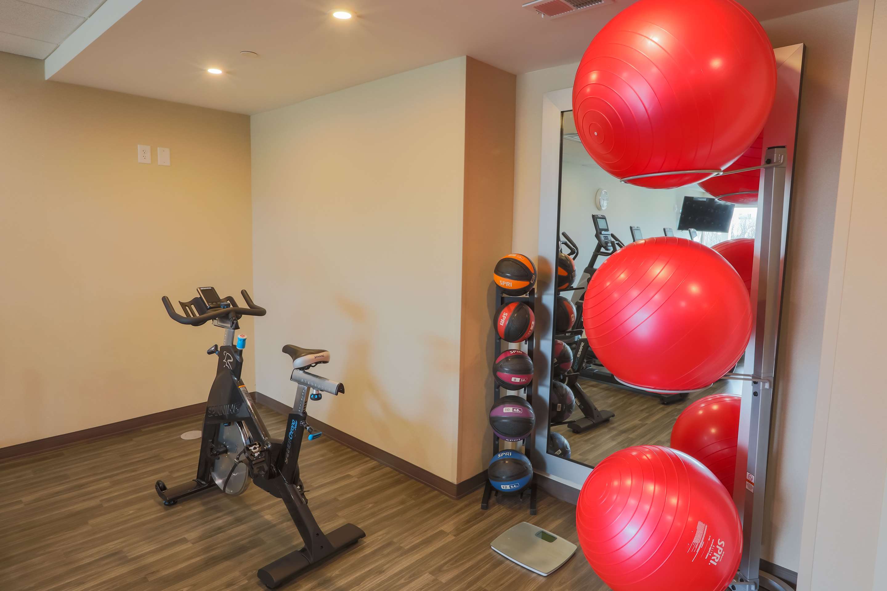 Health club fitness center gym