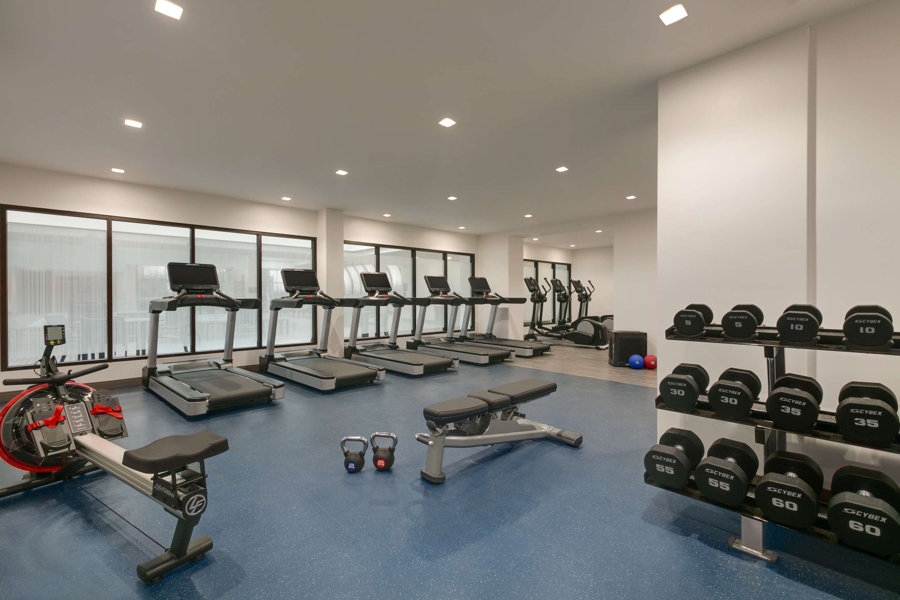 Health club fitness center gym