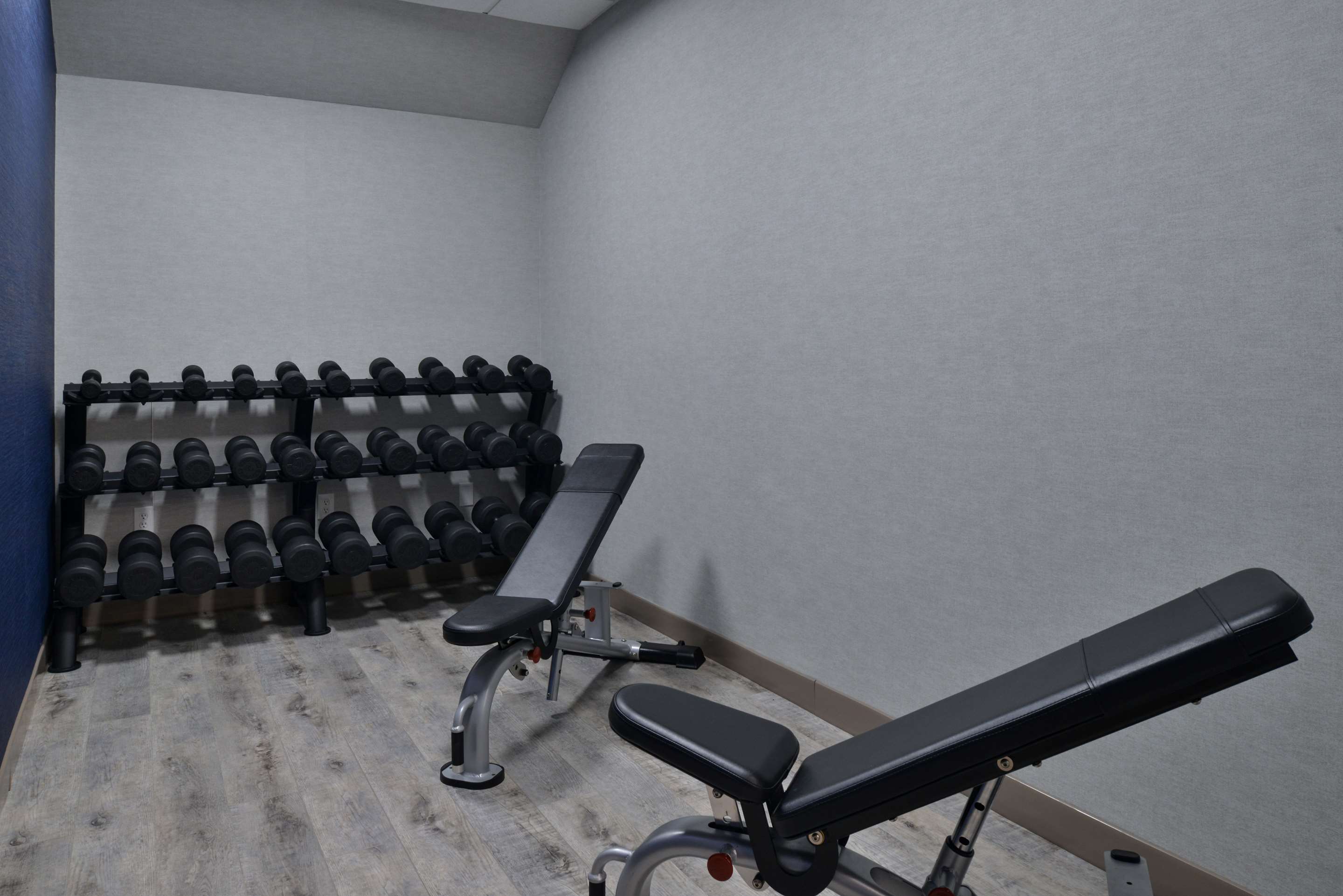 Health club fitness center gym