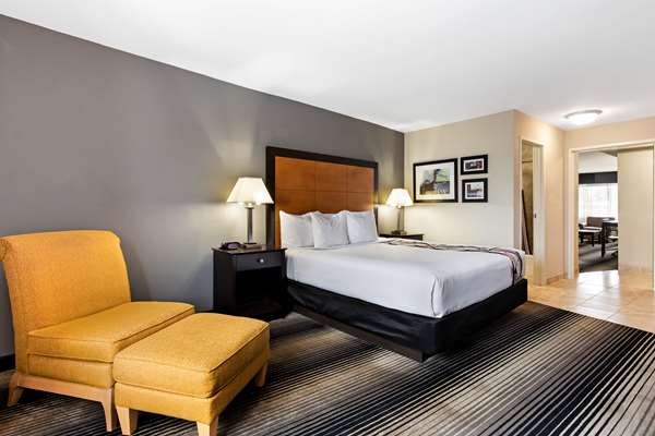 Suite - Best Western Plus Hyde Park Chicago Hotel