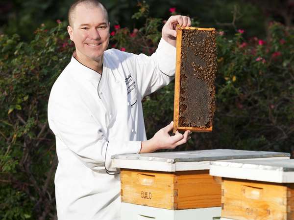 Restaurant - Fairmont Hotel Dallas