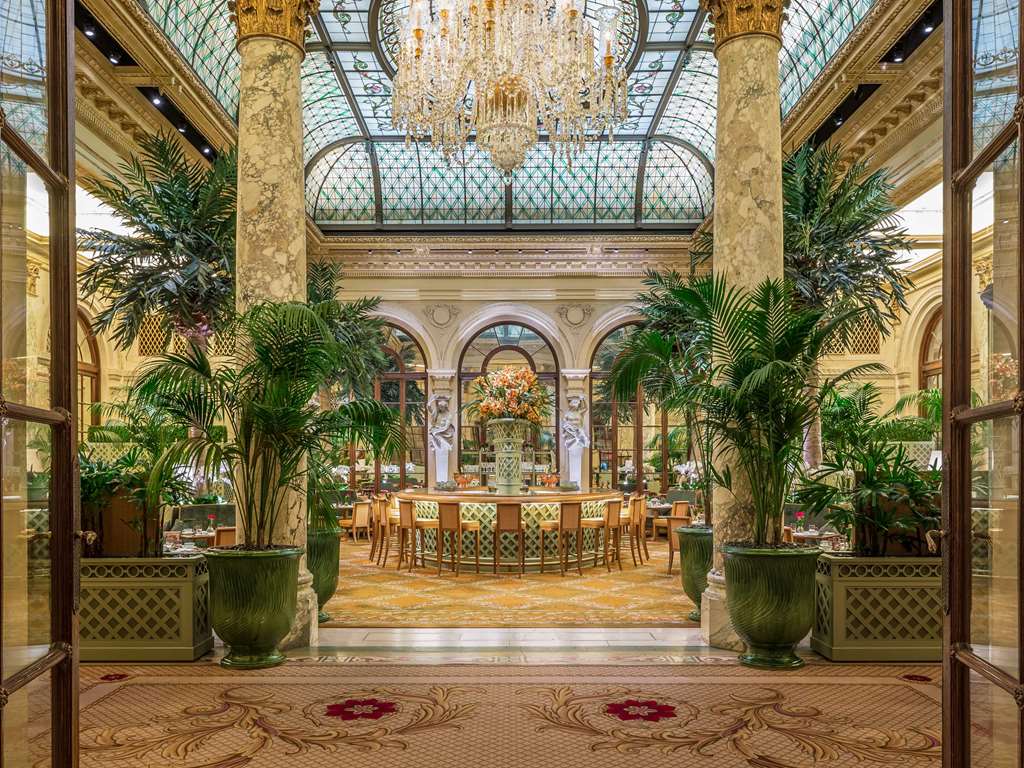 Guest photo