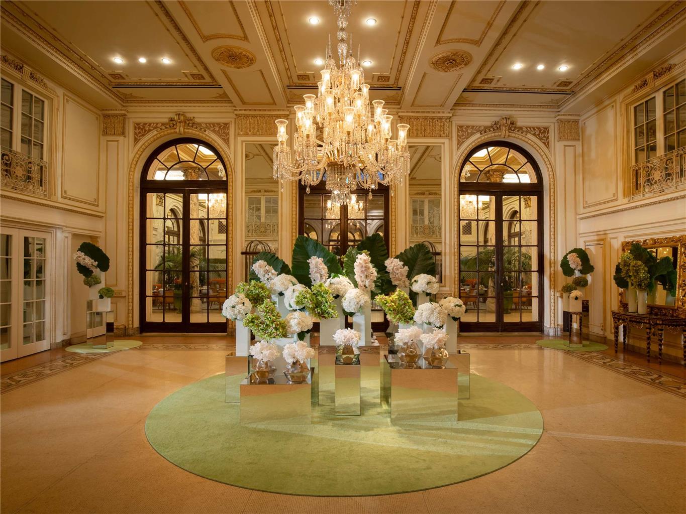Guest photo