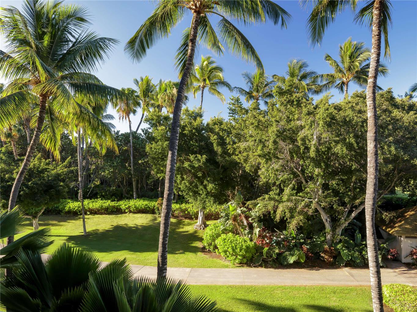 FAIRMONT ORCHID HAWAII - Photo 30