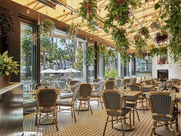 Restaurant - Fairmont Miramar Hotel Santa Monica