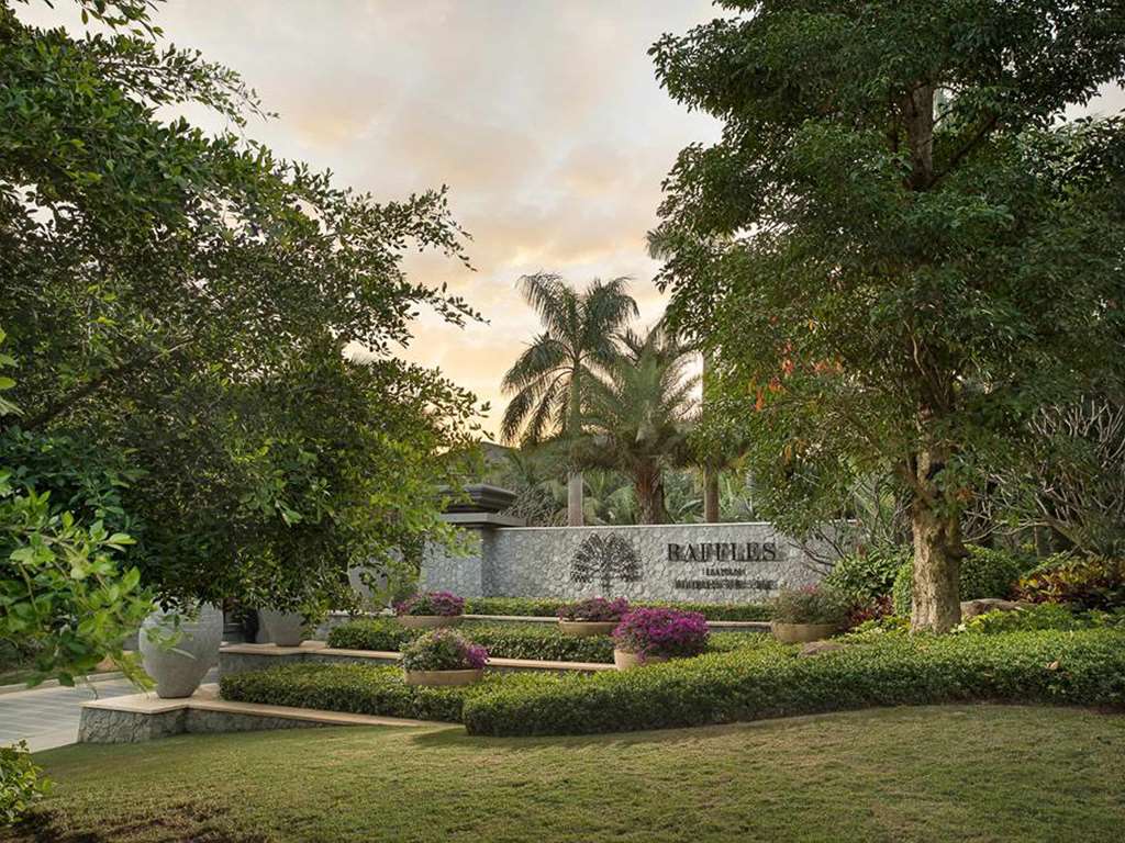 Guest photo