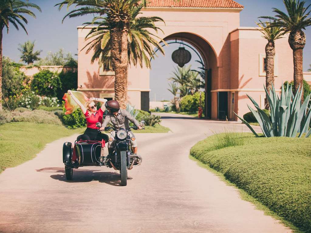 Guest photo
